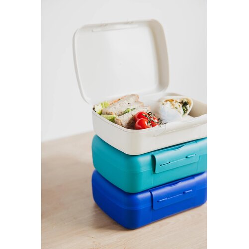 Day To Day Brunchbox 1400 ml